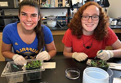 两个女学生在实验室里检查植物 